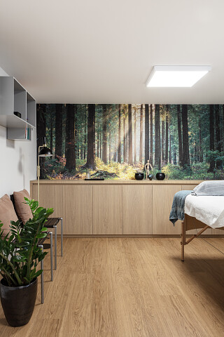 Nature Oak
