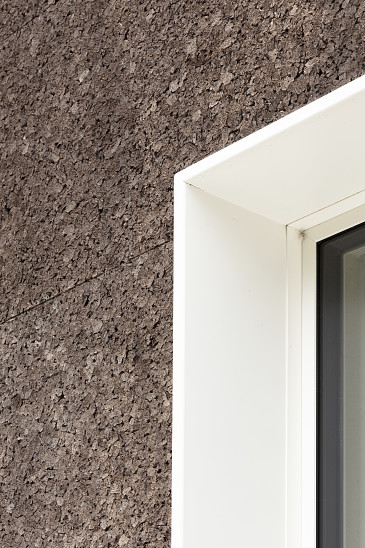 Project Forest Brussel