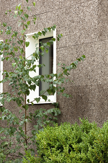 Project Forest Brussel