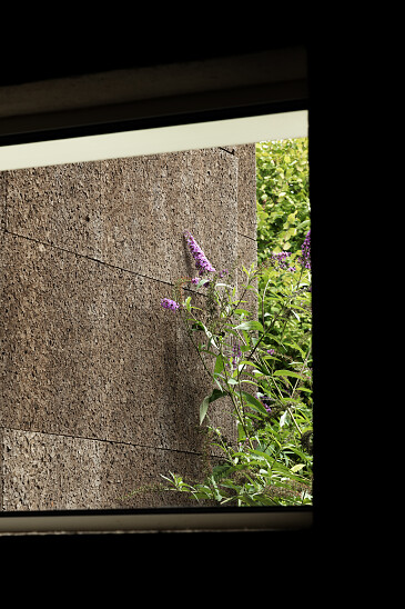 Project Forest Brussel