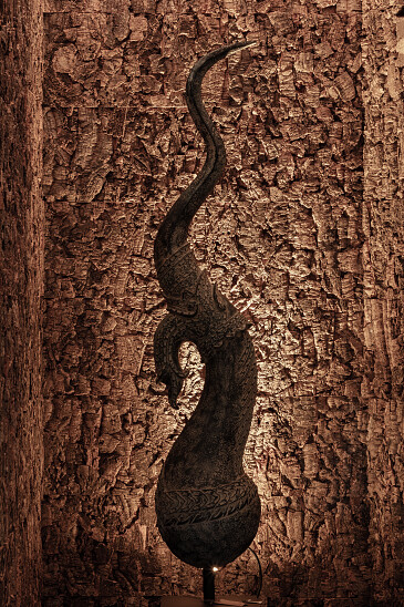 Project Forest Brussel