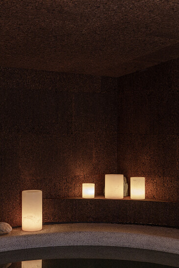 Project Forest Brussel