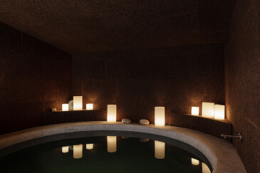 Project Forest Brussel