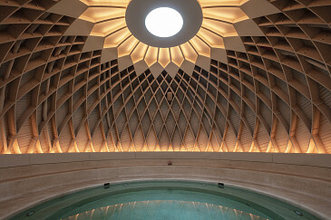 Project Forest Brussel