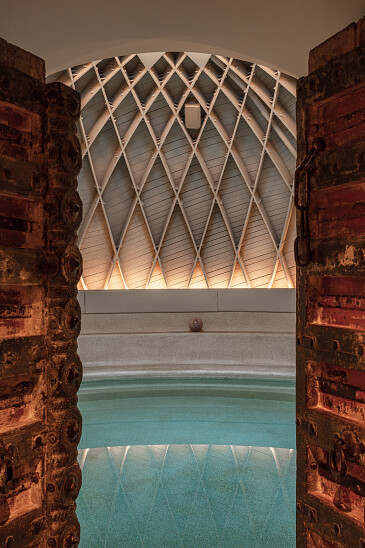 Project Forest Brussel