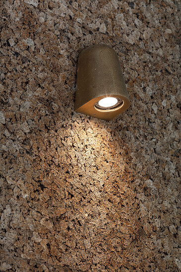 Project Forest Brussel