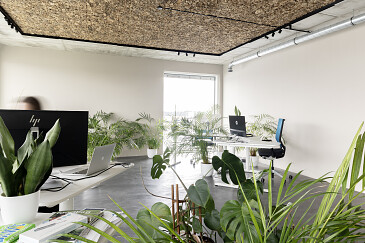 Projet Blue Lines Vertaalbureau Gent