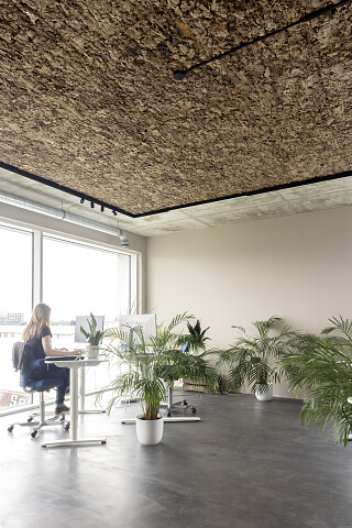 Projet Blue Lines Bureau de traduction Gand