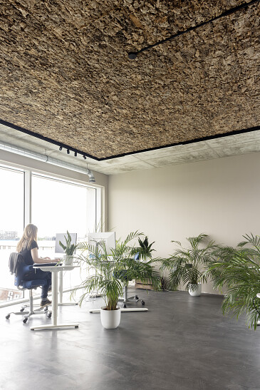 Projet Blue Lines Vertaalbureau Gent