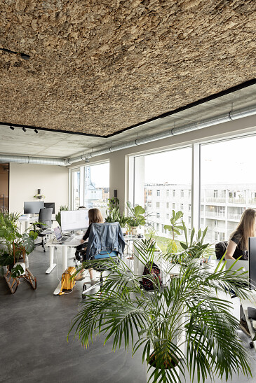 Projet Blue Lines Vertaalbureau Gent