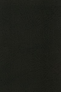 Umbria Grigio Scuro