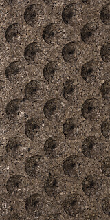 wave point cloud