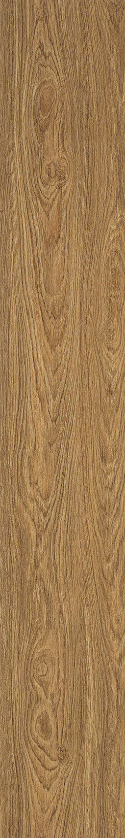Golden Oak