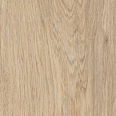 Almond Oak