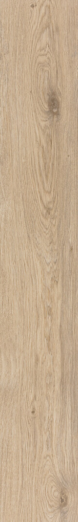 Almond Oak