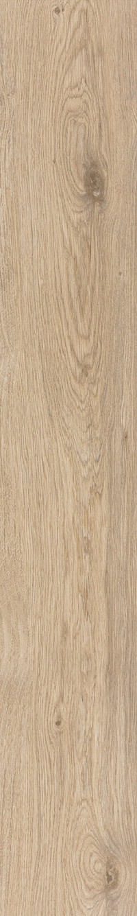 Almond Oak
