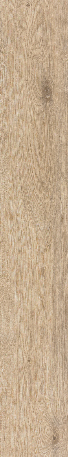 Almond Oak