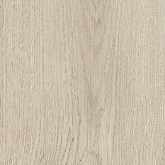 Argent oak