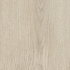 Argent Oak