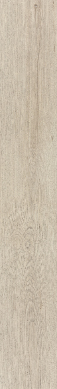 Argent Oak