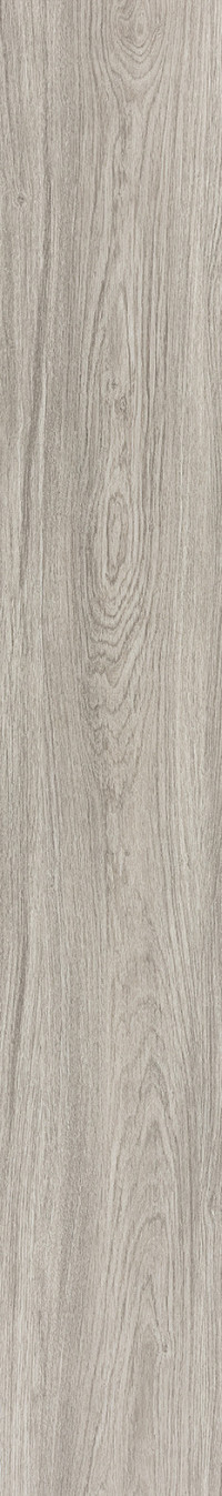 Platinum Oak