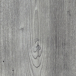 Arcadian Artic Pine