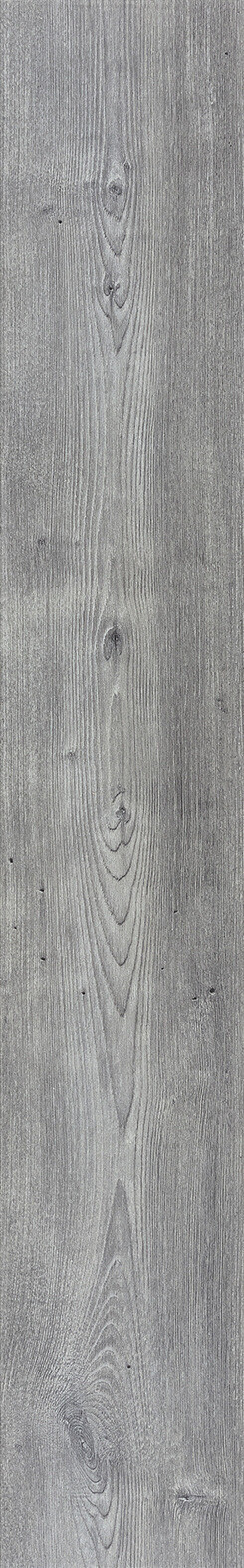 Arcadian Artic Pine