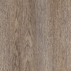 Light Dawn Oak