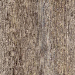 Light Dawn Oak