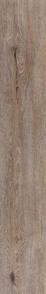 Light Dawn Oak