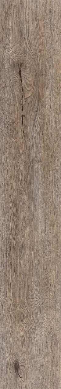 Light Dawn Oak