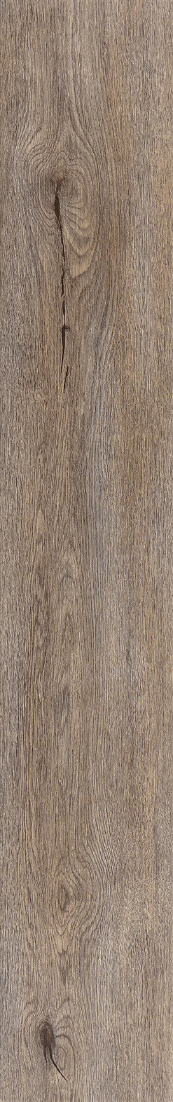 Light Dawn Oak
