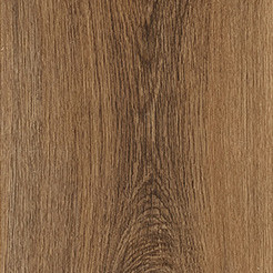 Sylvan Gold Oak