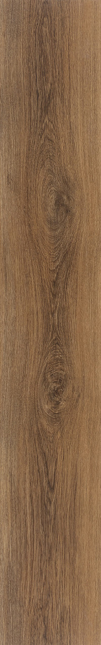 Sylvan Gold Oak