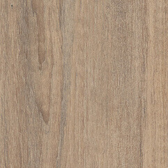 Contempo Copper