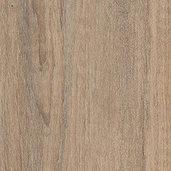 Contempo Copper