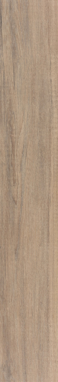 Contempo Copper