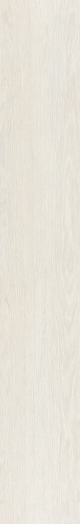 Contempo Ivory