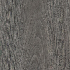 Mystic Grey Oak