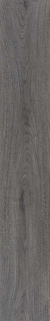 Mystic Grey Oak