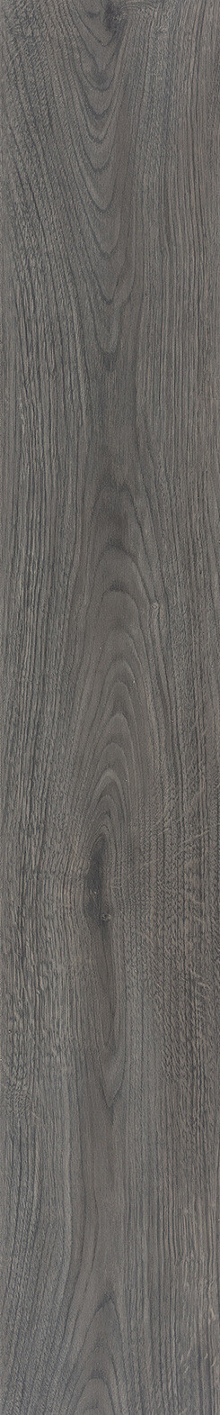 Mystic Grey Oak