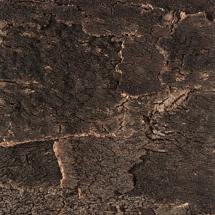 Bark rustic