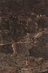 Bark rustic