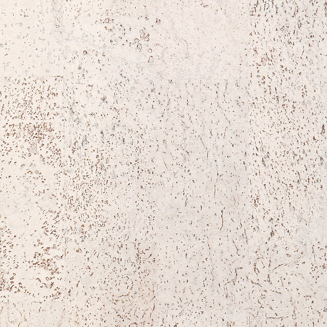 Identity Timide