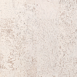 Identity Timide