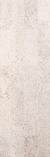 Identity Timide