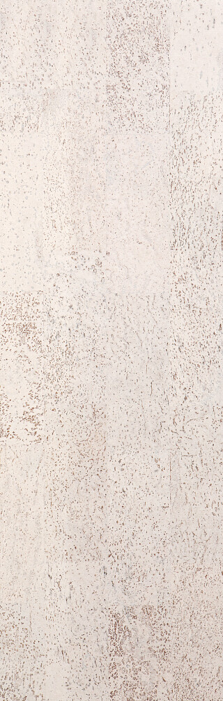 Identity Timide