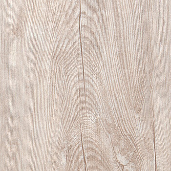 Fall Pine