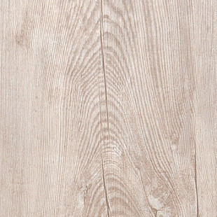 Fall Pine