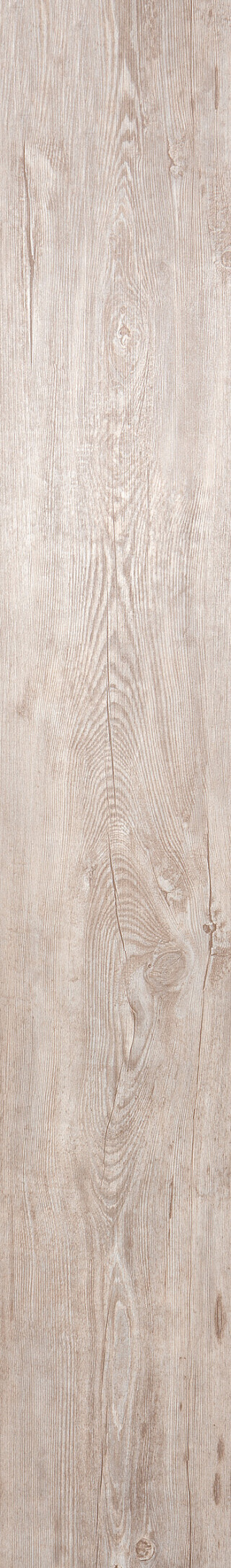 Fall Pine